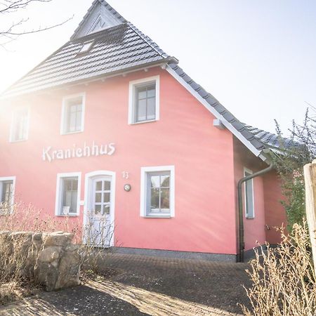 Kranichhus - Kranich 1 Lägenhet Born Exteriör bild